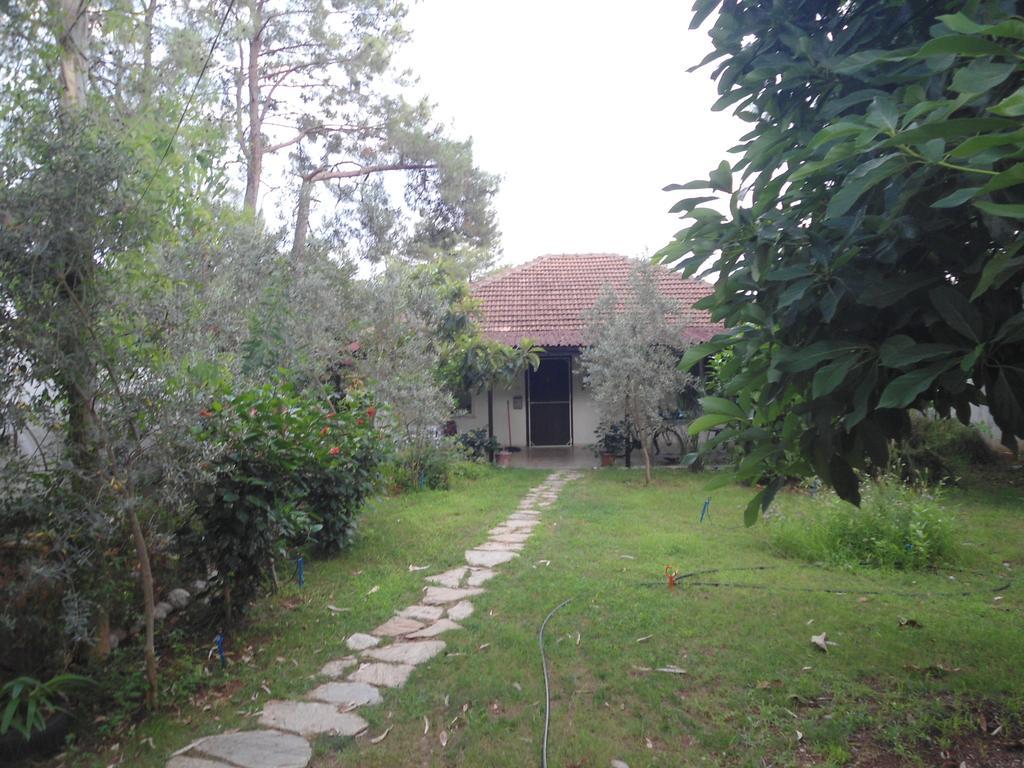 Bungalow Halil Çıralı Bilik gambar